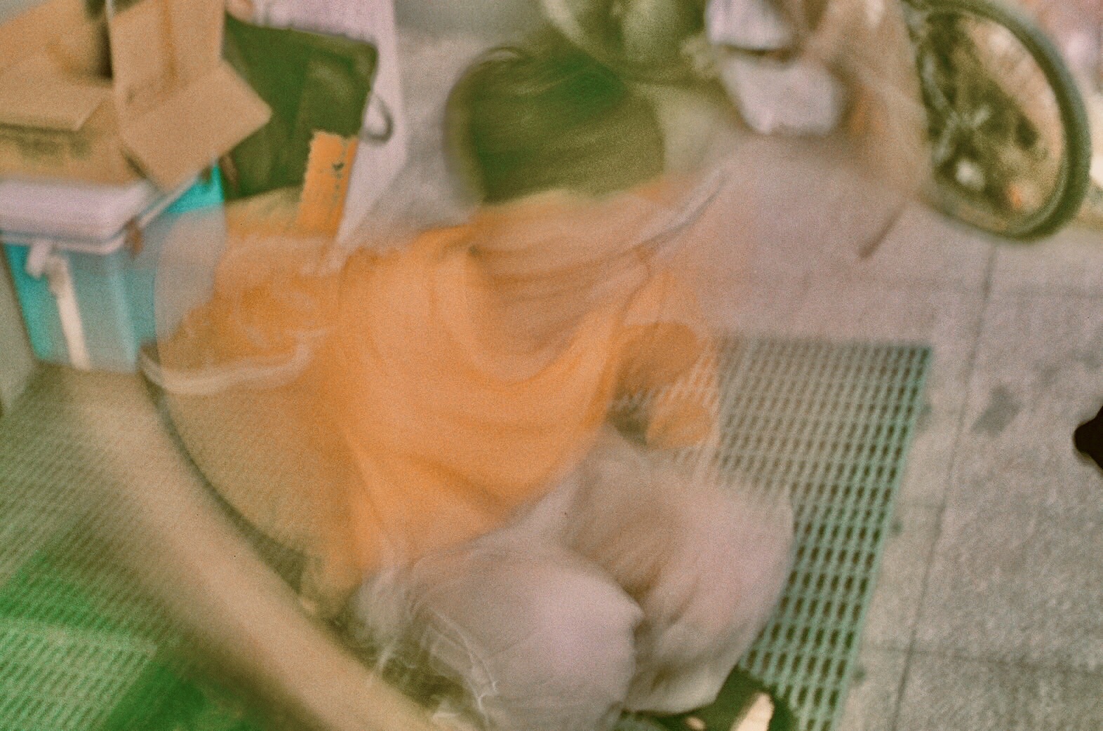 William Lu 呂乃崴